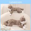 Adorable Plush Cat Toy Realistic Cute Kitten Doll For Companionship And Gifts