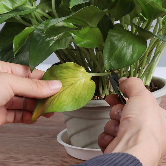 Набор инструментов для суккулентов, коврик для пересадки комнатных растений с сумкой для хранения, водонепроницаемая миниатюрная сочная рука