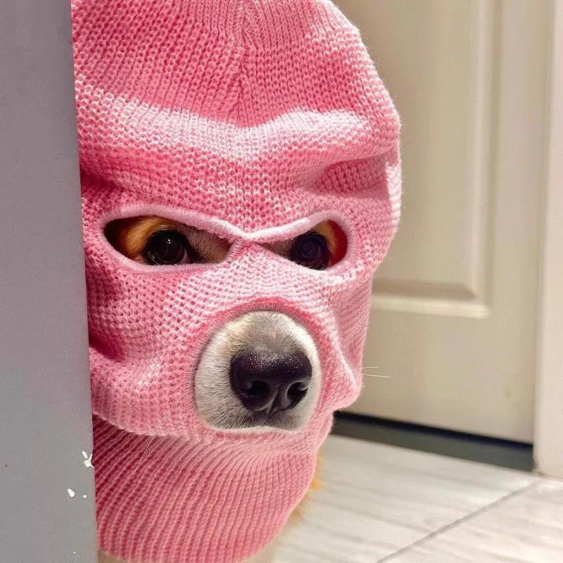 Смешная шапка на голову питомца, теплая вязаная шапка-кошка, костюм для косплея щенка, головной убор для собаки, шапка для питомцев, для собак и кошек