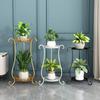 Multi-Layer Iron Flower Rack for Living Room and Balcony