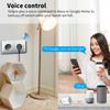 20a Zigbee Smart Plug EU Smart Socket Беспроводная розетка с функцией мониторинга мощности Голосовое управление через Alexa Google Home
