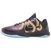 Nike Zoom Kobe 5 Protro «Год Мамбы» IB4481-500 Мужские размеры