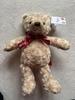 [USED] Hamleys 2024 Teddy Bear with tags