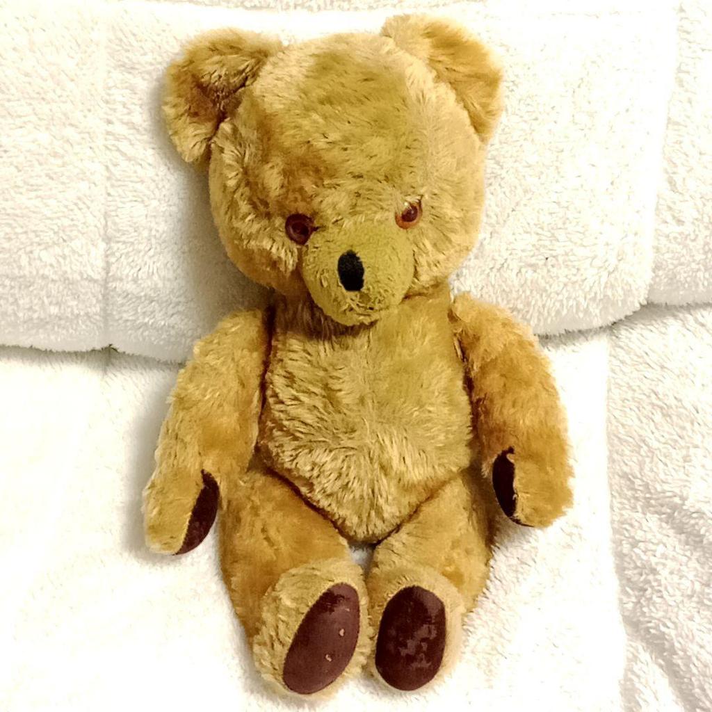 [USED] Pedigree Teddy Bear Vintage Teddy Bear with Bell