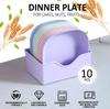 10pcs Set Dinner Plates with 1 Holder Portable Food Plate Set for Snacks Dessert Candy