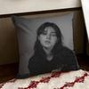 Singer CClairoS Charm Cushion Cover Reversible Soft Durable Pillow Cover Home  Car MultiScene Use for Daily Comfort