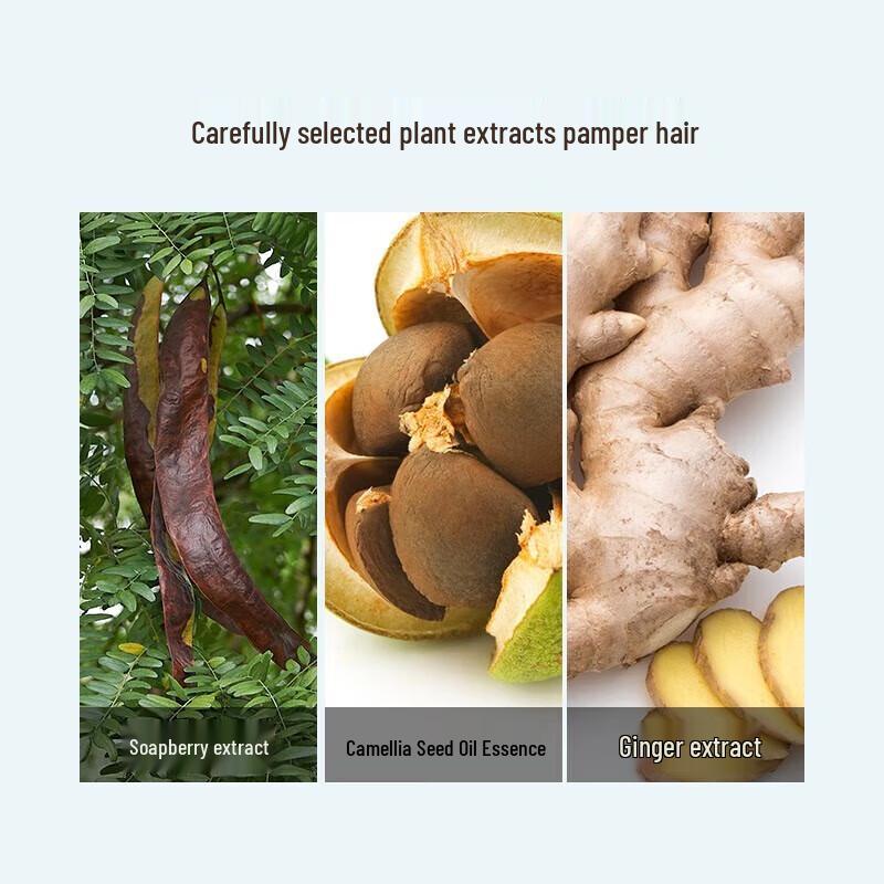 Fenghua Silicone-Free Anti-Dandruff Shampoo with Camellia Seed Oil