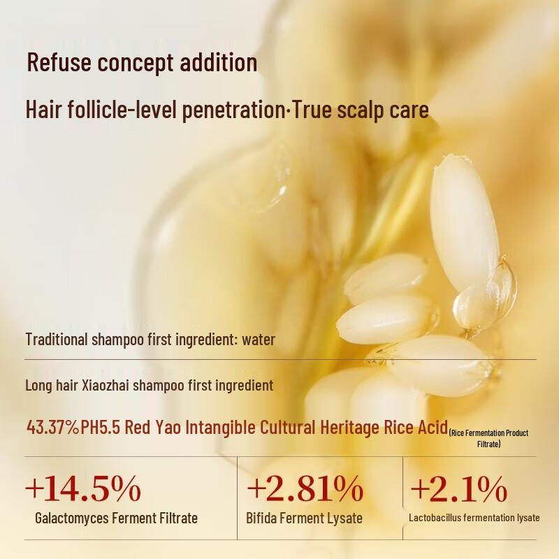 Long Hair Xiaozhai Rice Water Probiotic Anti-Dandruff Shampoo