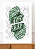 Плакат листья монстеры