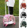 Pet Trolley Case Clear Ventilation Holes Silent Wheels Convenient Portable Cats Dogs Backpack for Travel