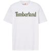 Timberland Men's Short Sleeve Floral Wordmark Logo T-Shirt, White, XXL, TB0A6D6R1001