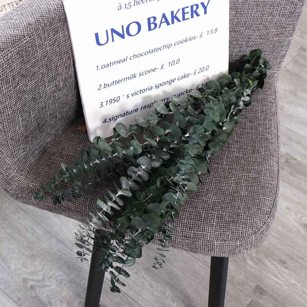 10 шт. Подвесные сушеные листья эвкалипта 22 дюйма Большие стабилизированные стебли эвкалипта Многоцелевое зеленое украшение для дома