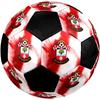 Southampton F.C Soccer Ball Colorful All Ages Machine Stitched PVC Competition Ready Durable High-Bounce.SIZE5