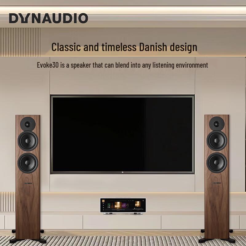 Dynaudio Evoke 30 HiFi Passive Floor-standing Speakers (CN version)