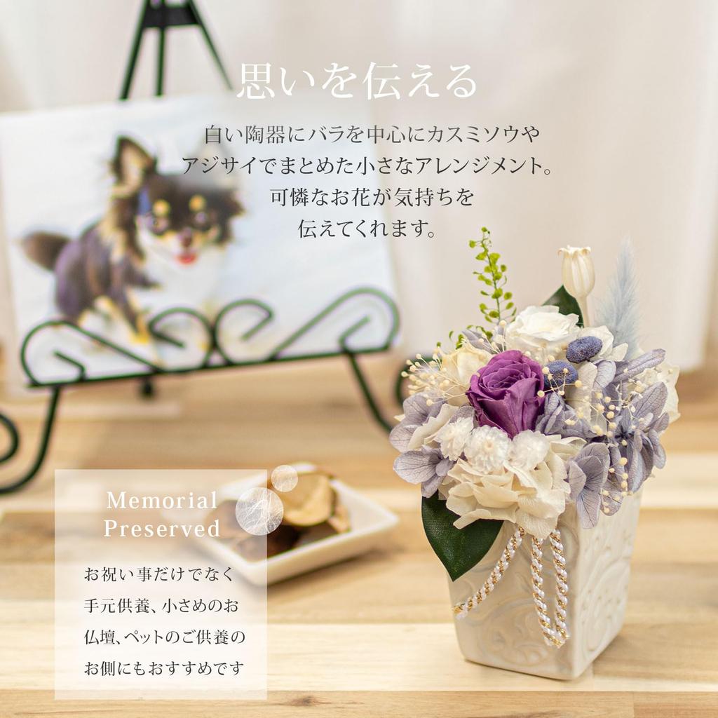 ORANGE APRON Preserved Pet Flowers (Gifts, Interior Decoration, and Buddhist Offerings) in a Clear Case (Purple) for Pets, Obon, and Higan