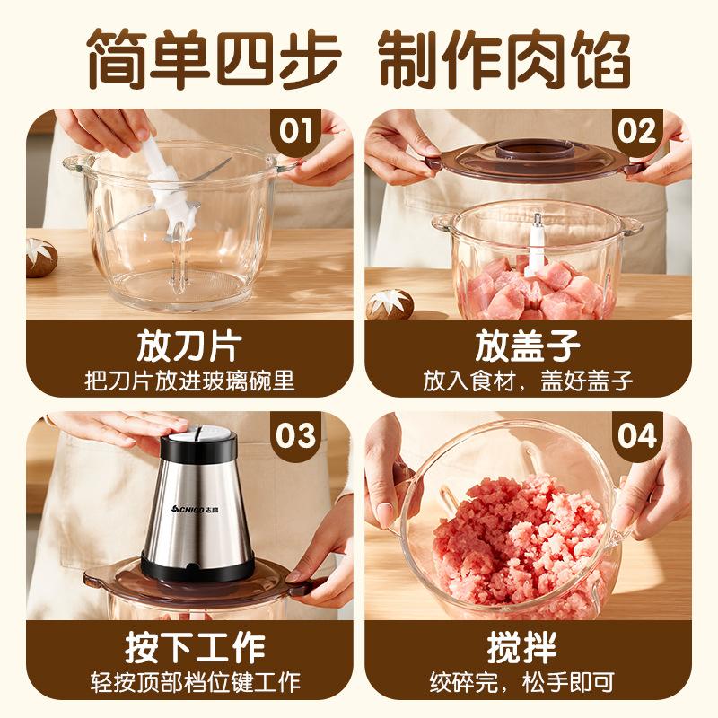 CHIGO Meat Grinder for Home Use, Electric Stainless Steel Filling, Vegetable and Meat Grinder, Small Garlic Mashing Machine