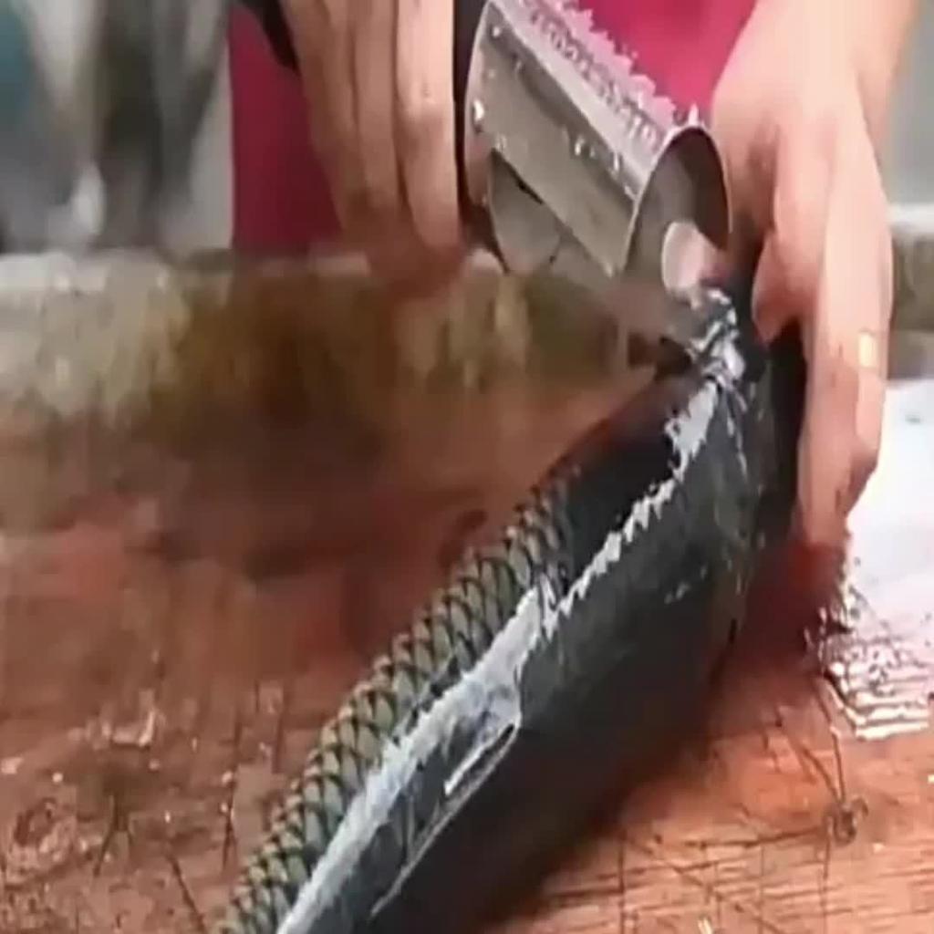 New Charging Portable Electric Fish Scaler Remover Cleaner Fishing Scalers Clean Battery Descaler Scraper Seafood Knif Tools Kitchen