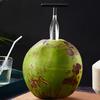 Coconut Opener Tool Set Stainless Steel Coconut Meat Scraper Coconut Opener