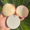 Lightweight Natural Seashell Notebook Mini Compact Mini Notebook  Personal Use