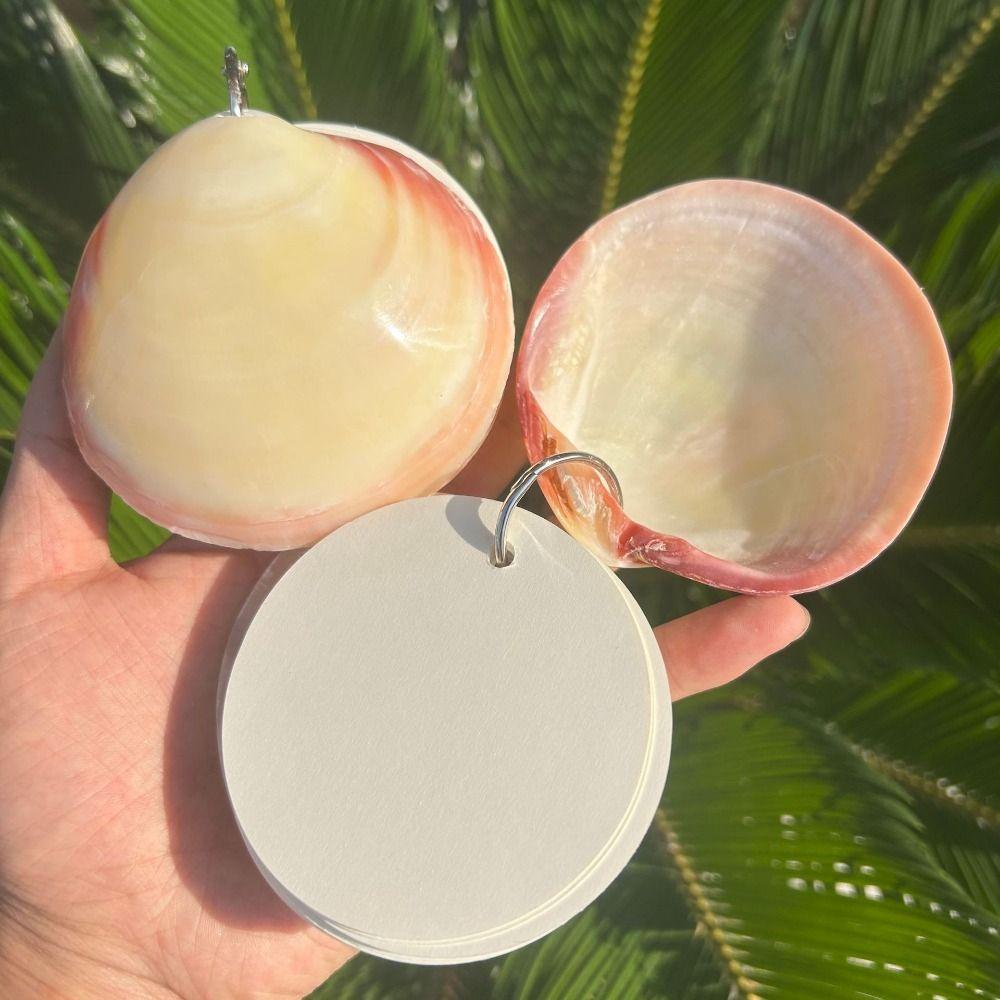 Lightweight Natural Seashell Notebook Mini Compact Mini Notebook  Personal Use