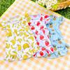 Pet Cartoon Traction Out Fruit Mesh Summer Breathable Dress Dog Cat Supplies Teddy Bee