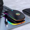 VAORLO 2.4G RGB Wireless Mouse Computer Mouse Silent Ergonomic Rechargeable Mice with LED Optical Backlit USB Mice for PC Laptop