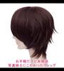 CaseEden Cosplay Wig, Short, 30cm, Heat-Resistant, Dark Brown, Includes 2 Wig Nets