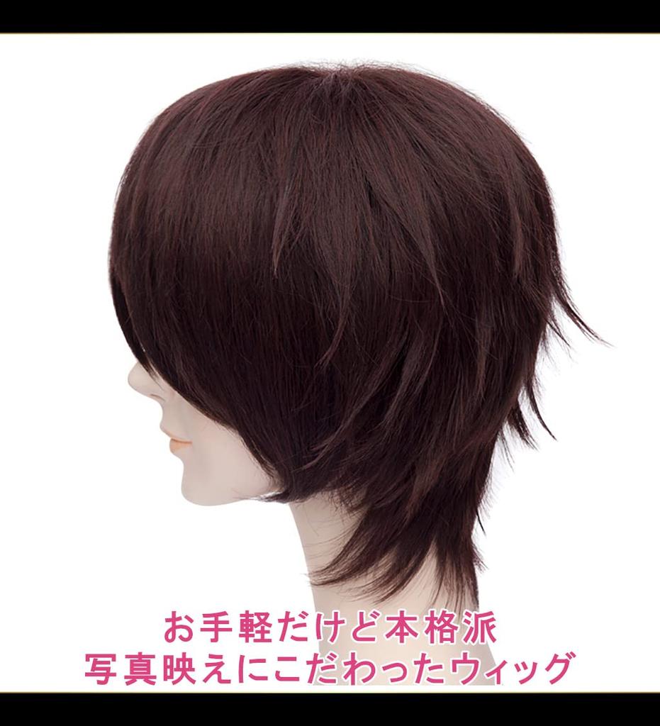 CaseEden Cosplay Wig, Short, 30cm, Heat-Resistant, Dark Brown, Includes 2 Wig Nets