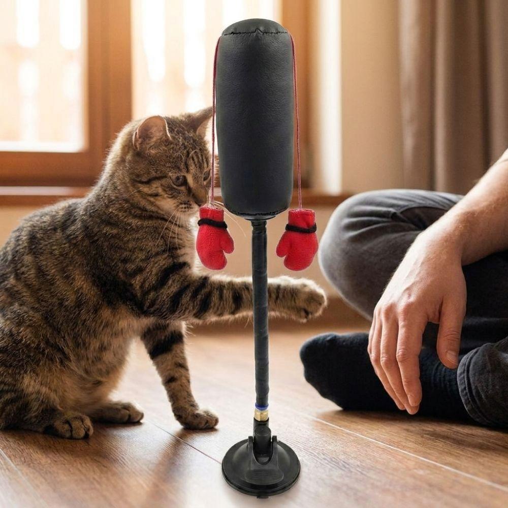 Suction Cup Cat Boxing Toy Scratch Trainer Interactive Cat Toy Cat Boxing Game Kitten Teasing