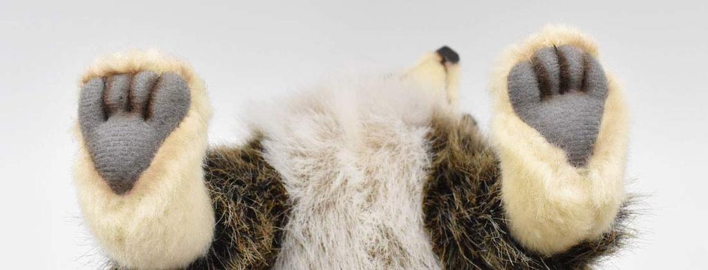 BH4248 HANSA Raccoon 25