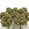 Green Cherry Palm Pine Forest N Architectural Tree Cherry 6 Pieces [DauStage] Blossom, Bamboo, Tree, Willow, Model, Gauge, Diorama, Railway,