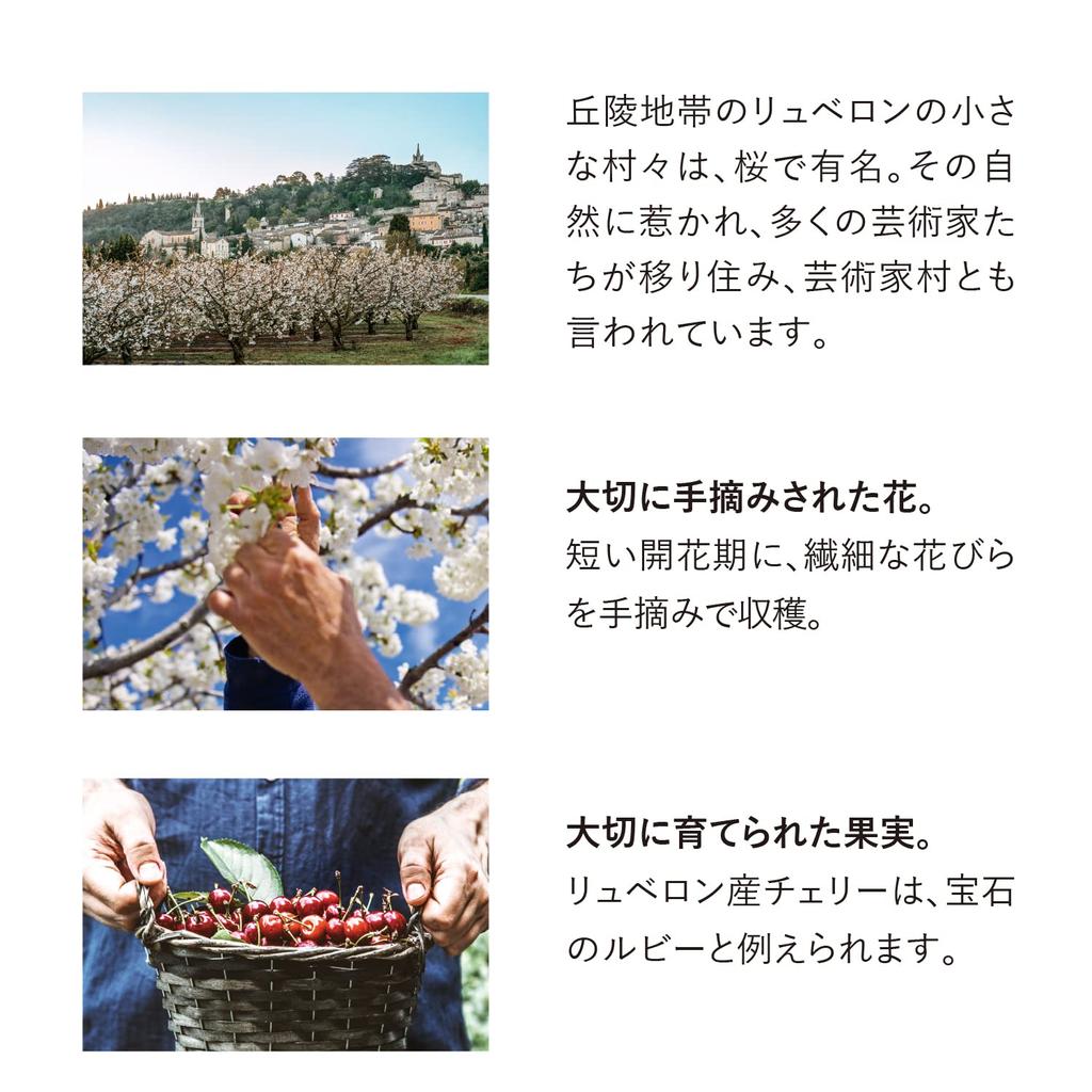Крем для рук Cherry Blossom 30 мл Сухой увлажняющий для женщин и мужчин Популярный Cherry Blossom L'OCCITANE