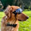 Pet Glasses Dog Supplies Goggles Waterproof Windproof Sunscreen and UV Protection