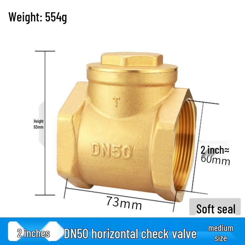Durable Brass Horizontal Check Valve - Anti-Backflow, Fully Automatic, 6 Points for Tanks and Pipes