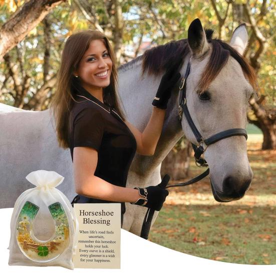 Horseshoe Blessing Pocket Hug with Positive Card Emotional Support Pocket Horseshoe Token Inspirational Lucky Horseshoe Decor Keepsake Gift