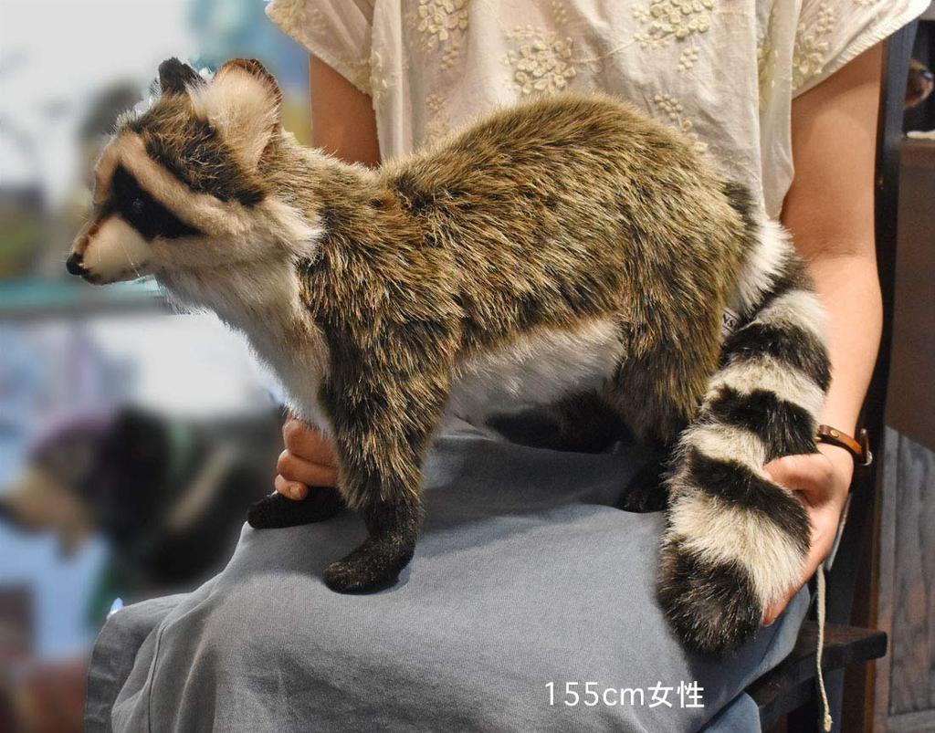 HANSA Raccoon Plush Toy 45x15x30cm Acrylic 190422