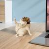 Yousheng Flower Pot Grooming Cat Shape Planter Pot Stress-Relief Mood Booster Indoor Plant Pot Office Desk Decoration