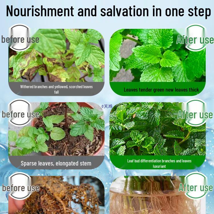 Органическое жидкое удобрение для гидропонной мяты и горшечных растений