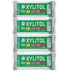 [Dental Exclusive] Oral Care Xylitol Chewing Check Gum (Mixed Fruit Flavor) 40-Pack