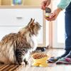 Миска для корма и воды для кошек, кормушка для маленьких собак, наклонная на 15 градусов миска для щенков, миска для кормления кошек, устойчивая к опрокидыванию поилка для дома