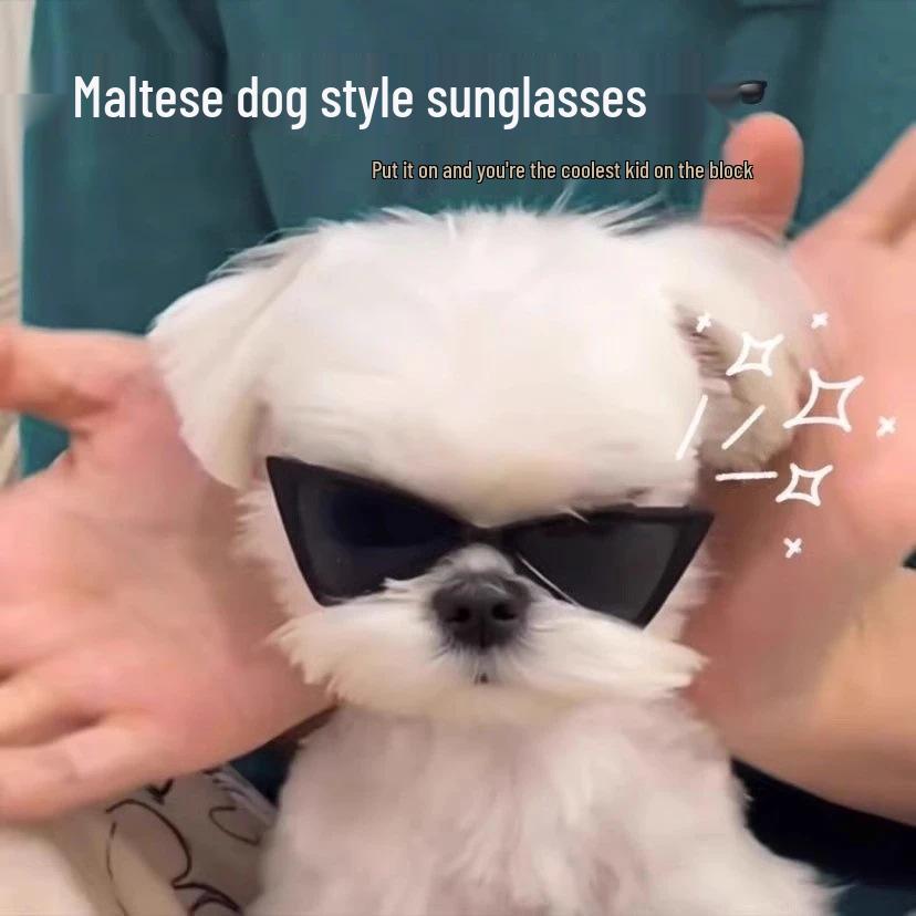 Трендовые солнцезащитные очки для домашних животных для кошек и собак - Стильные треугольные очки для крутого, звездного образа.