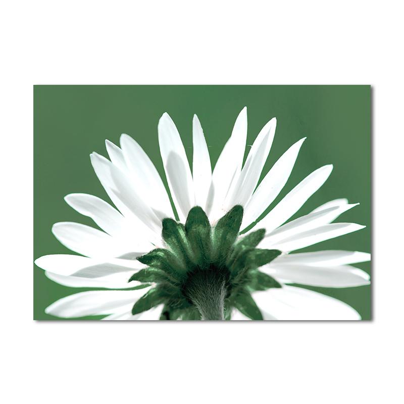 Скандинавские тропические растения, цветы, скандинавский постер, настенный художественный принт, зеленые листья, холст, картина для украшения гостиной, картина