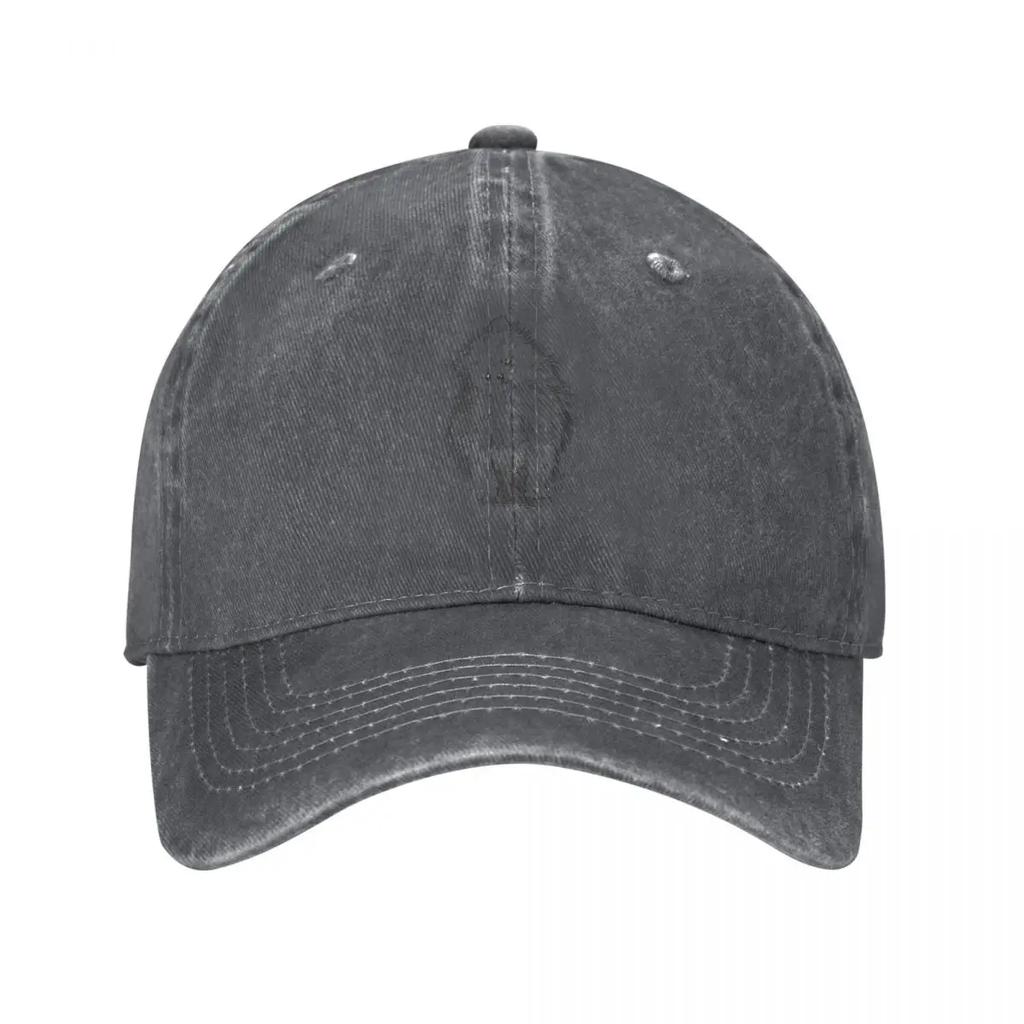 Pomeranian Baseball Cap Unisexs big size hat custom caps sun hat Hat Unisex Baseball For Unisex Womens