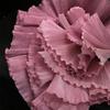 DIY Beaded Lace Ruffles Wave Edge Design Fabric 2025 Stiff Wave Fabric Performance Clothing