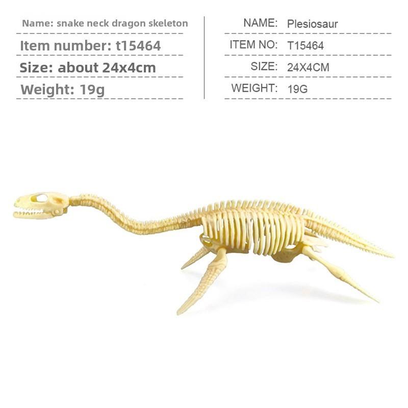 Fossil Dinosaur Skeleton Model With Plastic Material For Kids Decor Educational