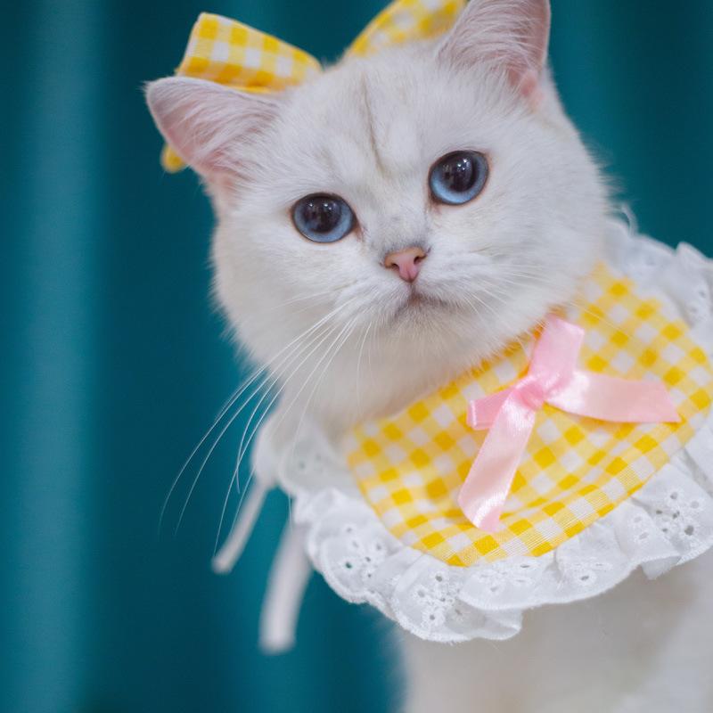 Plaid elastic dog cat pet saliva towel lace lace pet triangle scarf bib supplies