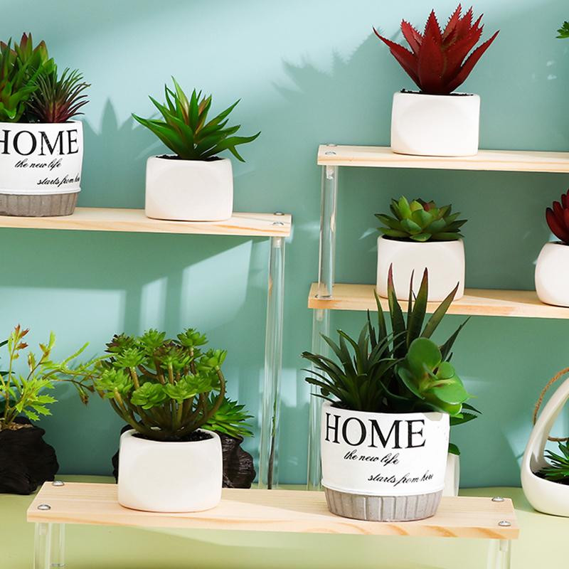 1-5 Tier Wood Acrylic Display Stand Cosmetic Organizer Display Riser Rack for Cupcake Perfume Doll Figure Shelf Home Storage