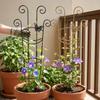 Butterfly Shaped Plant Climbing Trellis Strong Load Bearing Vine Climbing Rack  Potted Plants