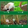 2m/4m Anti-Cats Digging Stopper Network Cat Deterrent Mat Durable Cat Scat Mat with Spikes  Indoor