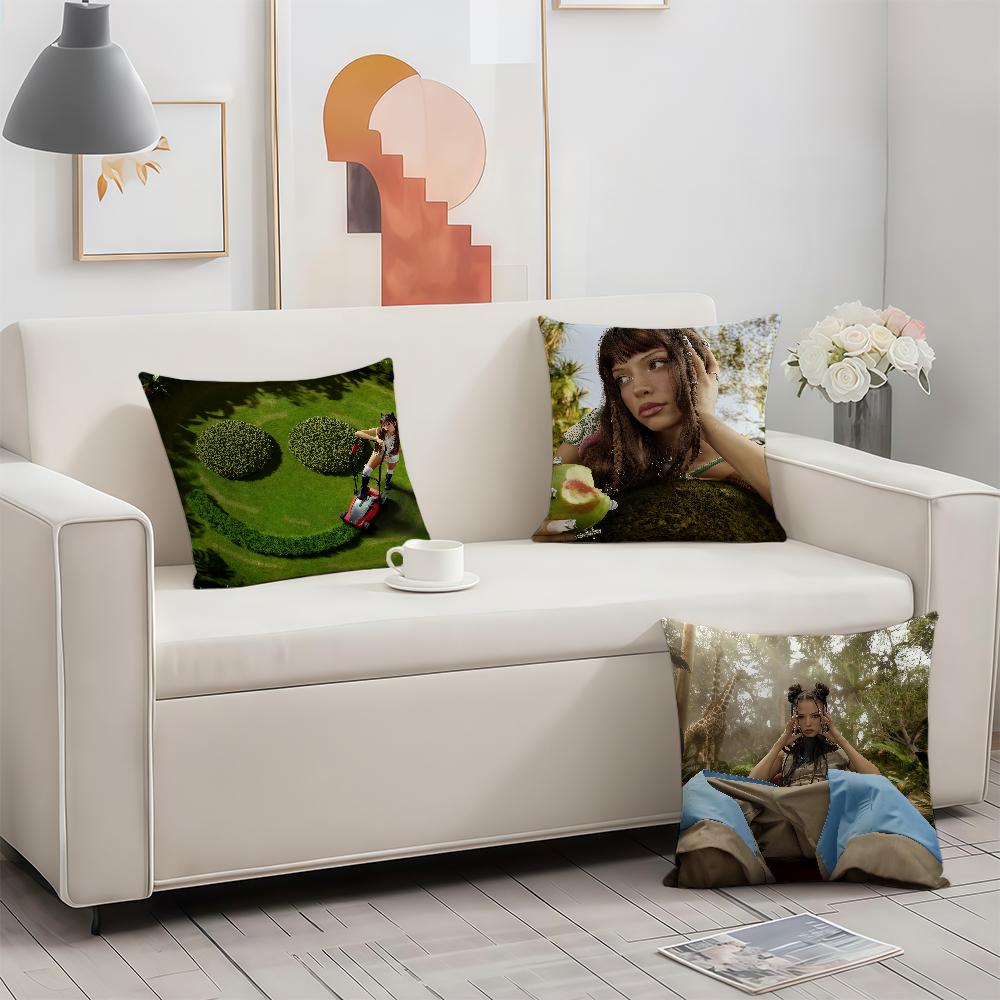 NNina Chuba Ich lieb mich cushion cover Birthday Anniversary Gifts Double Sided Printed Zipper Cushion Cover Soft Skin Bedding